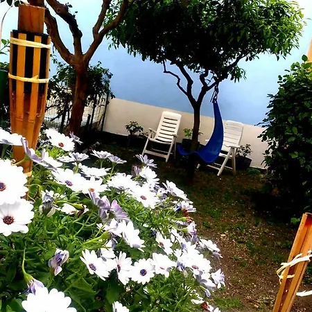 Hostal 